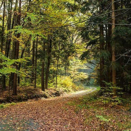 Weinberghaus Prossen Villa Bad Schandau Kültér fotó
